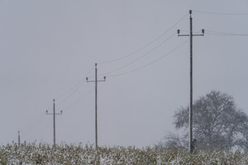 Strommasten in verschneiter Landschaft bei Schneefall
