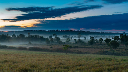 Beautiful morning mist hangs low over a grassland and trees with beautiful sunlight and clouds formation