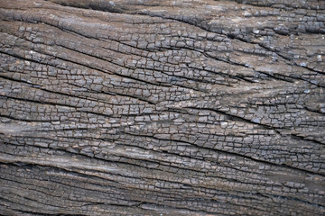 Close up natural crack of old wood use for background backdrop and texture.