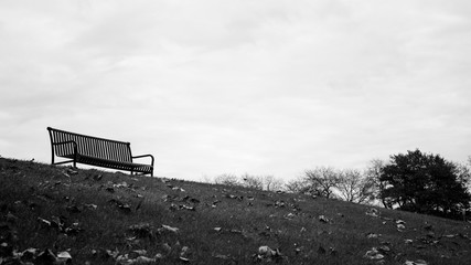 Empty Bench on a Hill