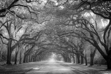  Oak Drive © Daniel L Grantham Jr
