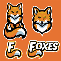 fox mascot character set