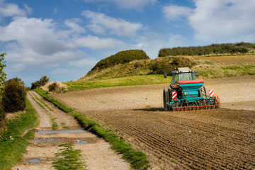 Naklejka premium le temps des plantations