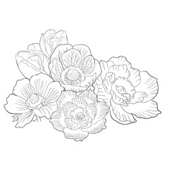 coloring flower bloom japanese anemone. illustration