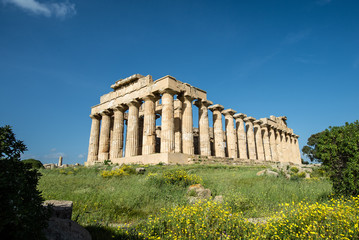 Naklejka premium Temple E