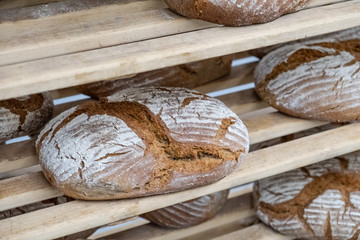 Frisches Brot in Backstube