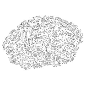 exotic Phrygian brain coral in the tropical sea. illustration