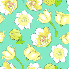 Fototapeta na wymiar seamless pattern flower lily of the valley. illustration