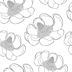 seamless pattern Magnolia obovate flower in bloom.  illustration