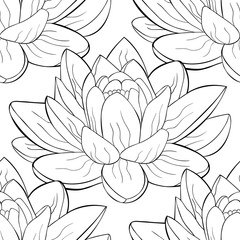 seamless pattern  lotus flower spiritual india. illustration
