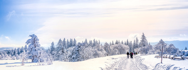 Forêt-Noire, paysage d& 39 hiver