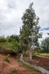 Kauai, Hawaii