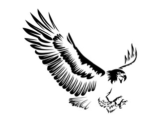 Eagle emblem isolated on white illustration. American eagle. Bird symbol of freedom and independence. Retro color logo of falcon.