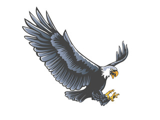 Eagle emblem isolated on white illustration. American eagle. Bird symbol of freedom and independence. Retro color logo of falcon.