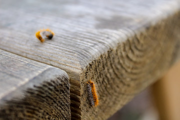 Be there when you need help