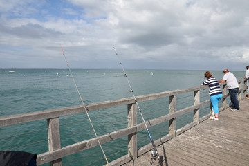Cannes &agrave; p&ecirc;che &agrave; Noirmoutier, France