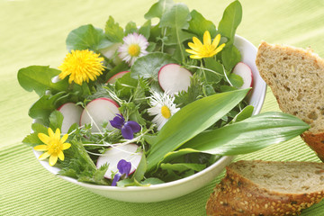 Spring salad, Salat aus Frühlingskräutern, Wildkräutern, Textraum, copy space © Johanna Mühlbauer