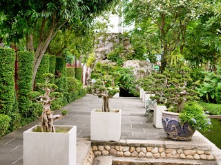 Garden in Wat Prayurawongsawat Worawihan,Bangkok,Thailand