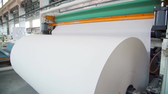 Paper and pulp mill