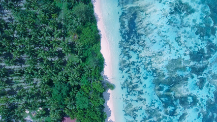Overhead aerial view of beautiful beach. Ocean, trees and homes along the sea