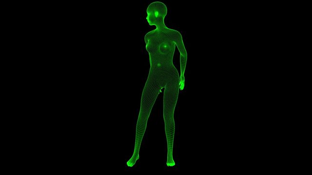 4K Futuristic Wireframe Android AI Woman Sexy Pose Seamless Loop