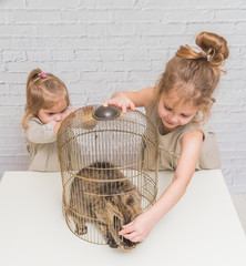 girl, the child frees the cat from the cage, in front of a white brick wall