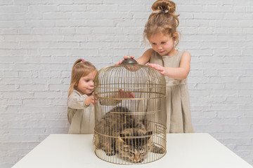 girl, the child frees the cat from the cage, in front of a white brick wall