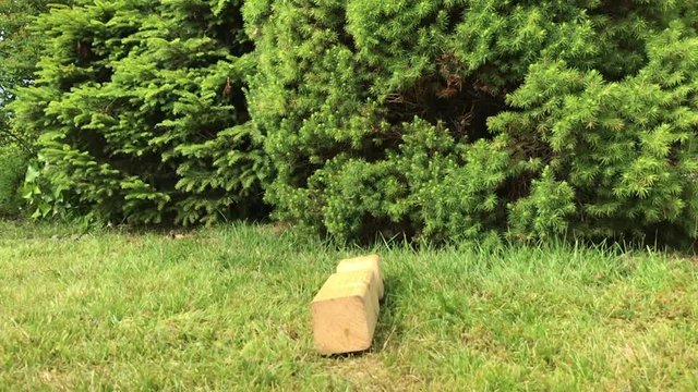 King falls over after being hit in the outdoor game kubb. Kubb is often played in the summer in Both Norway and Sweden.