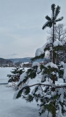 Ukraine. Carpathians. 