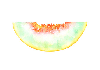 Hand painted watercolor slice of melon isolated on white background. Fruits illustration