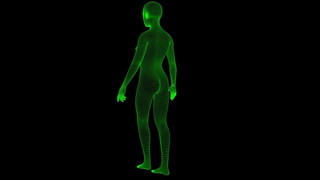 4K Futuristic Wireframe Android AI Woman Standing Seamless Loop