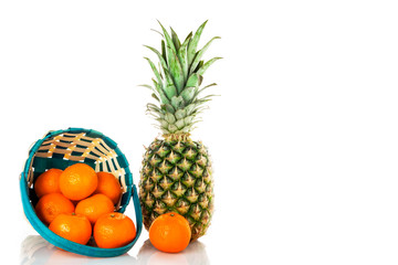 Fototapeta na wymiar Pineapple with basket and with small tangerines on a white background. Isolate.