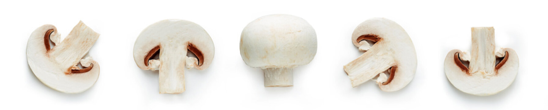 Set of fresh whole and sliced champignon mushrooms isolated on white background. Top view 