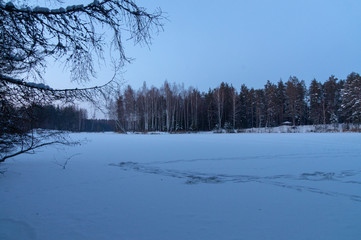 Winter  forest lake 6