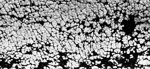 Old cracked white leather texture background