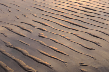 Rippled sand texture on beach during low tide with golden light at sunset.