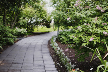 Path in the botanical garden
