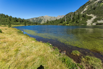 Fototapeta na wymiar Landscape with Clear waters of Fish Vasilashko lake, Pirin Mountain, Bulgaria