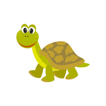 Cute turtle. Vector cartoon style illustration
