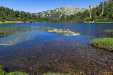 Fototapeta premium Landscape with Clear waters of Fish Vasilashko lake, Pirin Mountain, Bulgaria