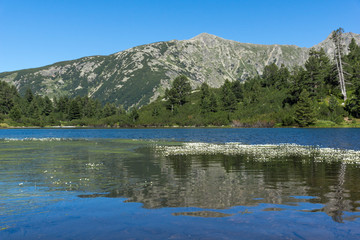 Landscape with Clear waters of Fish Vasilashko lake, Pirin Mountain, Bulgaria
