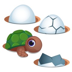 Pretty blue-eyed little turtle and cracked egg shell isolated on white background. Vector cartoon close-up illustration.