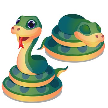 Cute curled up green snake isolated on white background. Vector cartoon close-up illustration.