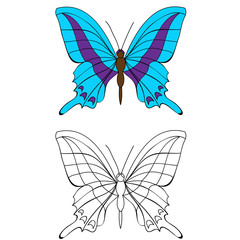  insect butterfly, coloring book