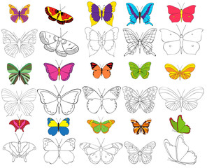 butterfly, coloring book, set