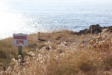sign on the beach