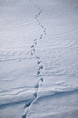 Footstep marks on the snow