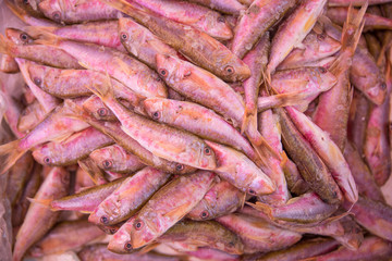 The goatfish fish in the box is ready for sale