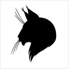 Obraz premium Maine coon kot sylwetka głowy
