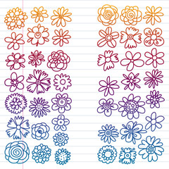 Vector set of colorful doodle flowers. Wedding ornament.